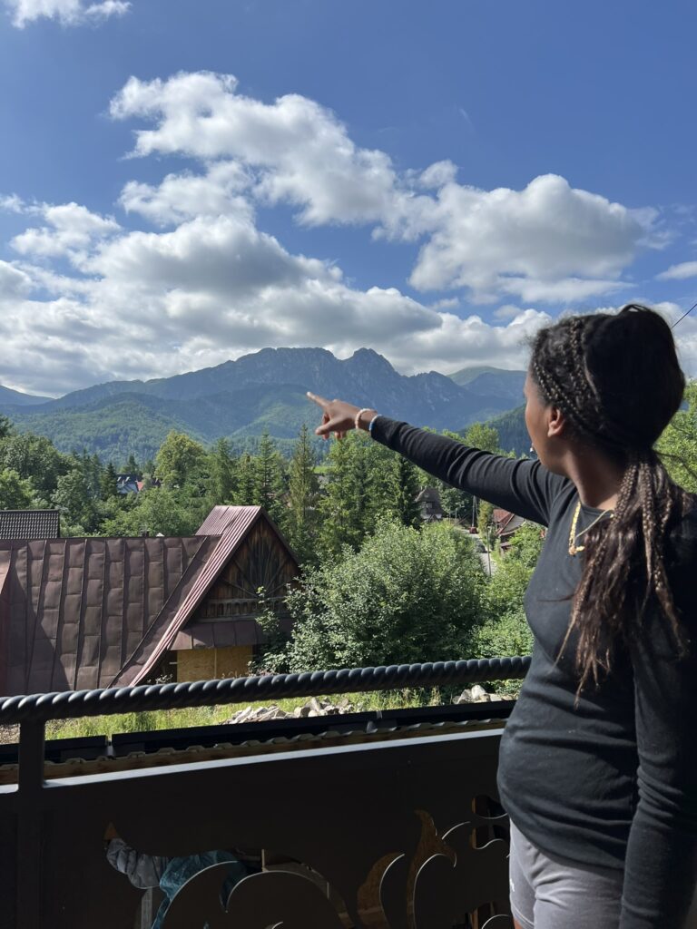 udsigt over bjergene set fra lejlighed i zakopane